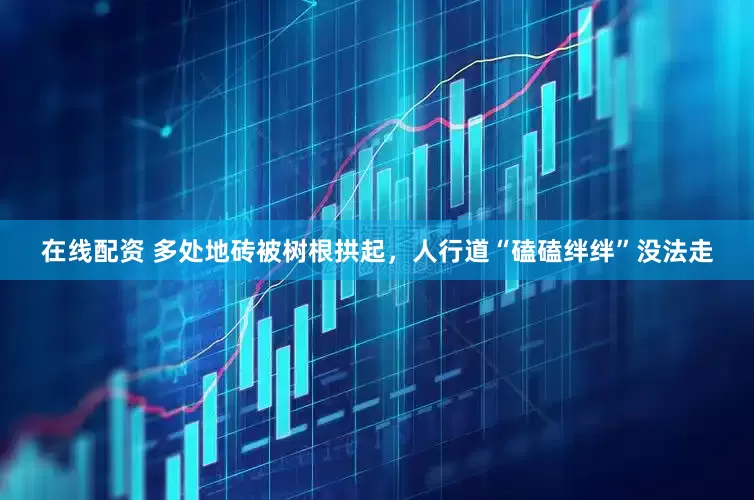 在线配资 多处地砖被树根拱起，人行道“磕磕绊绊”没法走